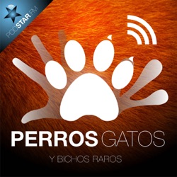 Perros, Gatos y Bichos Raros #1 – Habla Chucho que Yo te Escucho