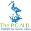 Podcast on Natural Dallas (The P.O.N.D.) artwork