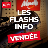 ALOUETTE - LES INFOS DU 11/04/2024 17H00 EN VENDEE