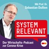 Systemrelevant - Fakten für eine demokratische und nachhaltige Wirtschaft artwork