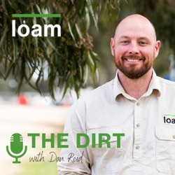 What does Loam's fungi actually do to improve soil?