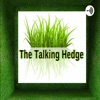 The Talking Hedge artwork