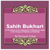 Sahih Bukhari The Book Of The Superiority Of Offering As Salah In The Mosque Of Makkah And Madinah artwork