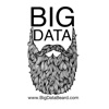 Big Data Beard artwork