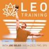 LEO Training: Strength & Conditioning | Endurance | Health | Performance | Injury Prevention | Joe DeLeo artwork