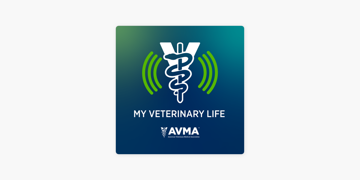 the vet life renewed