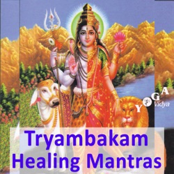 Mahamrityunjaya Mantra Om Tryambakam Moksha Mantra  mp3 Audio zur Rezitation