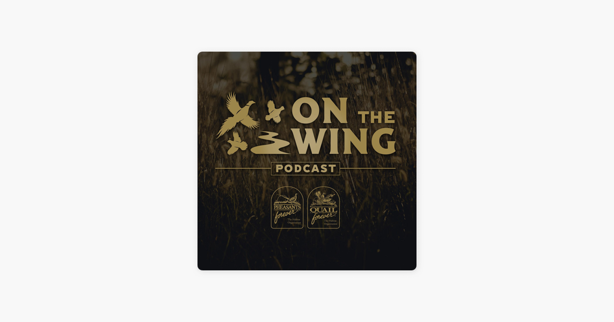 ‎On The Wing Podcast: EP. 196: Bobwhite and Blue Quail in Texas with