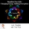 Manifest For Life: Lets Meditate artwork