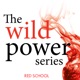The Wild Power Series