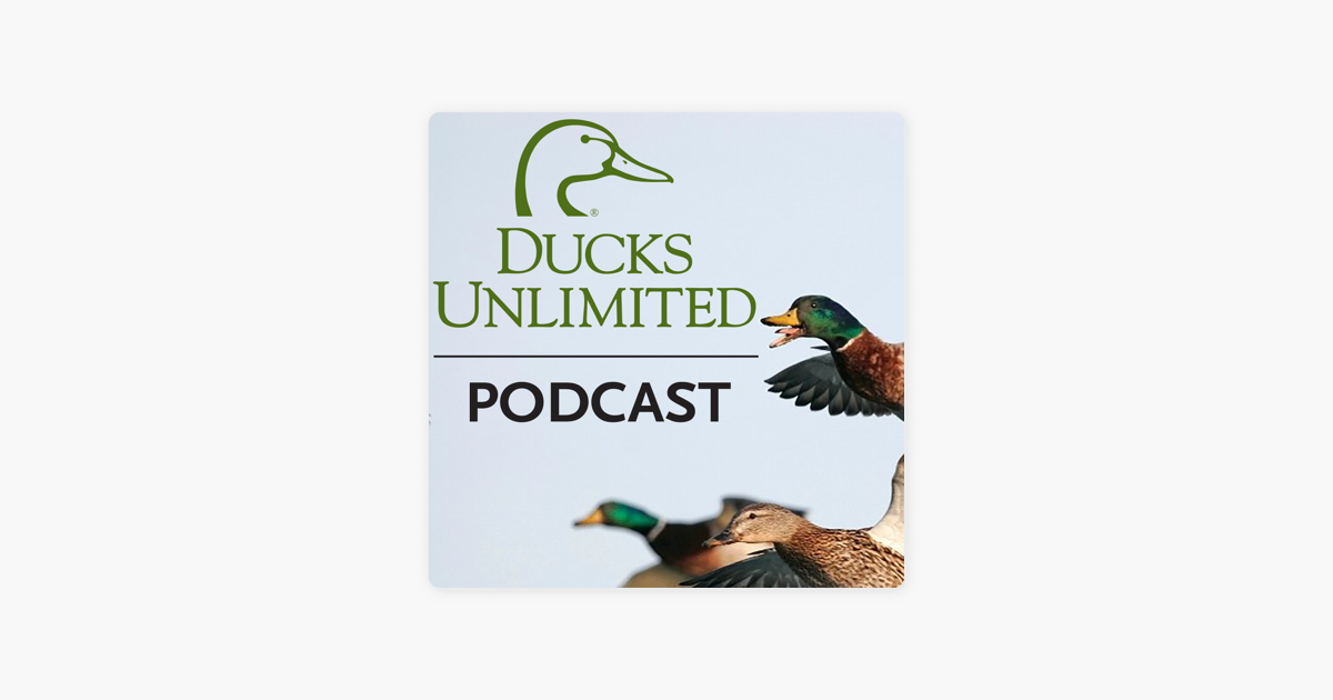 ‎Ducks Unlimited Podcast on Apple Podcasts