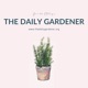 The Daily Gardener