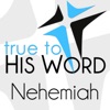 Nehemiah - Verse by Verse with Pastor Brian Larson - True To His Word artwork