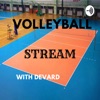 Volleyball stream with devard artwork