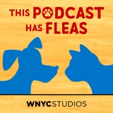 New Dog podcast episode