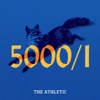 5000/1 - A show about Leicester City artwork