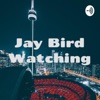 Jay Bird Watching artwork