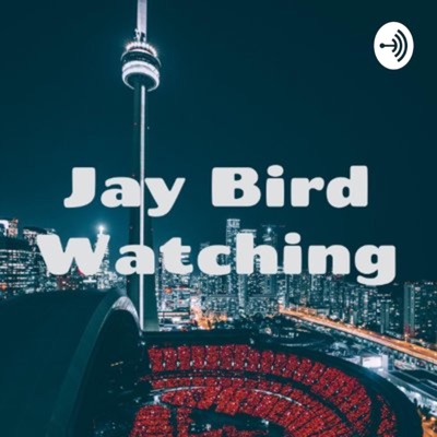 Jay Bird Watching Jay Bird Watching