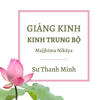 GIẢNG KINH VÀ HƯỚNG DẪN HÀNH THIỀN - SƯ THANH MINH - Chùa Phúc Minh