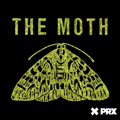 The Moth The Moth