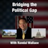 Bridging the Political Gap artwork