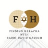 Finding Halacha artwork