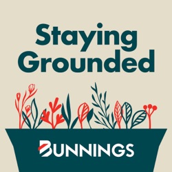 Staying Grounded