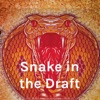 Snake in the Draft- Fantasy Football Podcast artwork