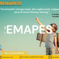 REMAPEST