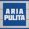 AriaPulita artwork