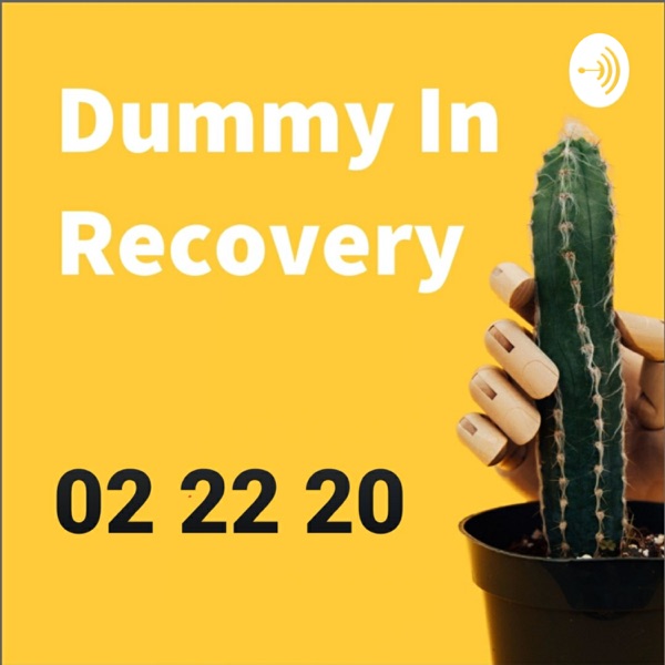 Dummy In Recovery Artwork