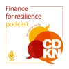 Finance for resilience brought to you by CDKN artwork