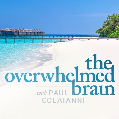 The Overwhelmed Brain:Paul Colaianni