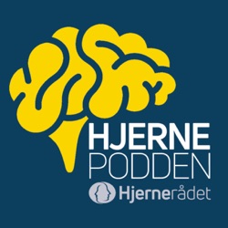 Om moderne hjerneforskning