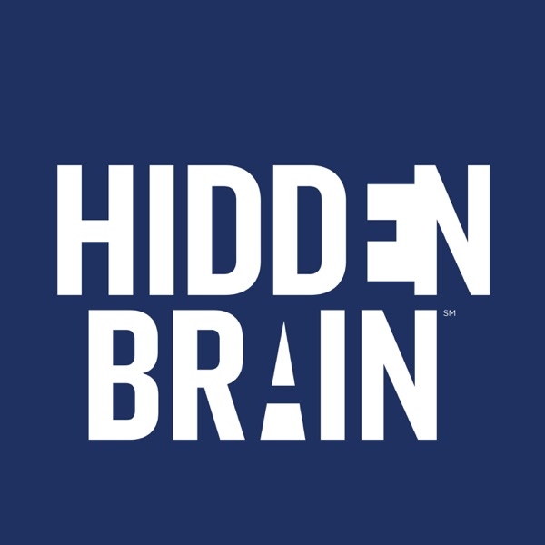 Hidden Brain Artwork