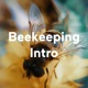 Beekeeping Intro