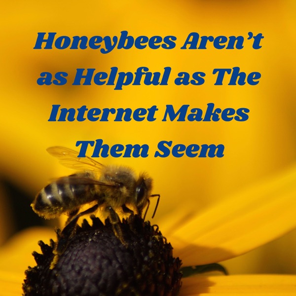 Honeybees Aren’t as Helpful as The Internet Makes Them Seem Artwork