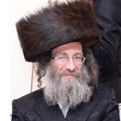 Rabbi Elimelech Biderman הרה"צ ר' אלימלך בידרמן שליט"א 