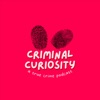 Criminal Curiosity artwork