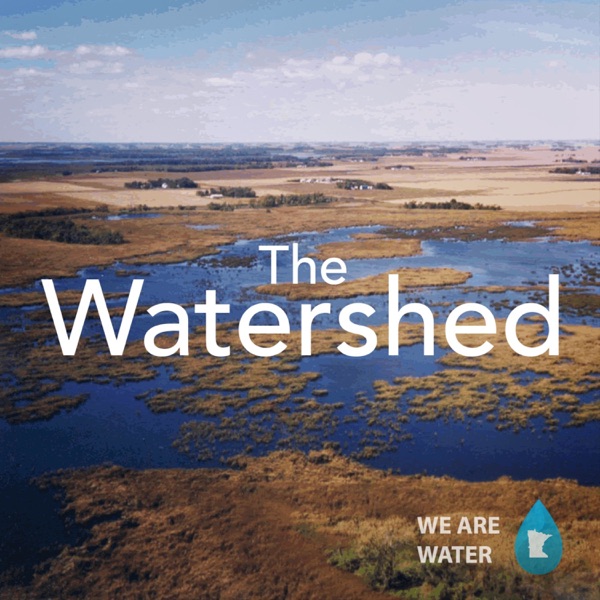 The Watershed Artwork