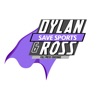 Dylan and Ross Save Sports artwork