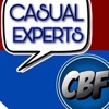 Casual Experts Only artwork