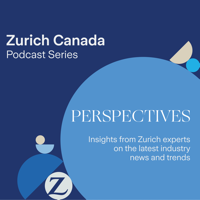 Introducing Risk Insights with Chris Snider