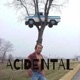 ACIDENTAL