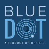 Blue Dot - Dave Schlom, Matt Fidler