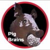 Pig Brains artwork