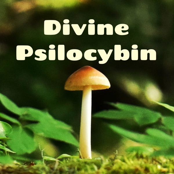 Divine Psilocybin - Magic Mushrooms and Psychedelic Talks Artwork