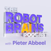 The Robot Brains Podcast - Pieter Abbeel