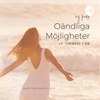 OÄNDLIGA MÖJLIGHETER artwork
