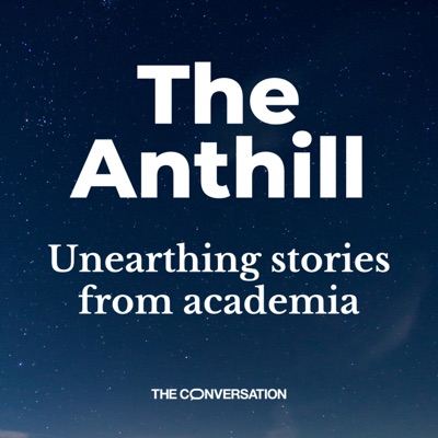 The Anthill The Anthill